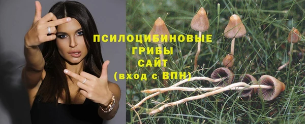 прущие крисы Балабаново