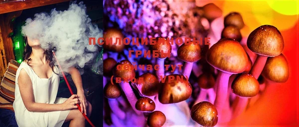 прущие крисы Балабаново