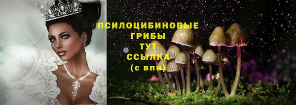 spice Баксан