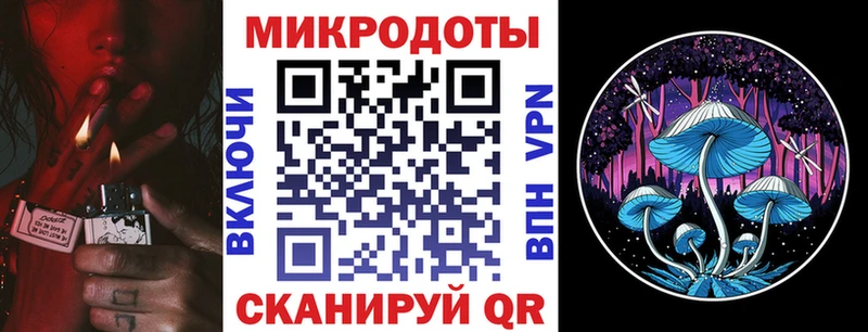 omg как зайти  Заполярный  Псилоцибиновые грибы ЛСД 